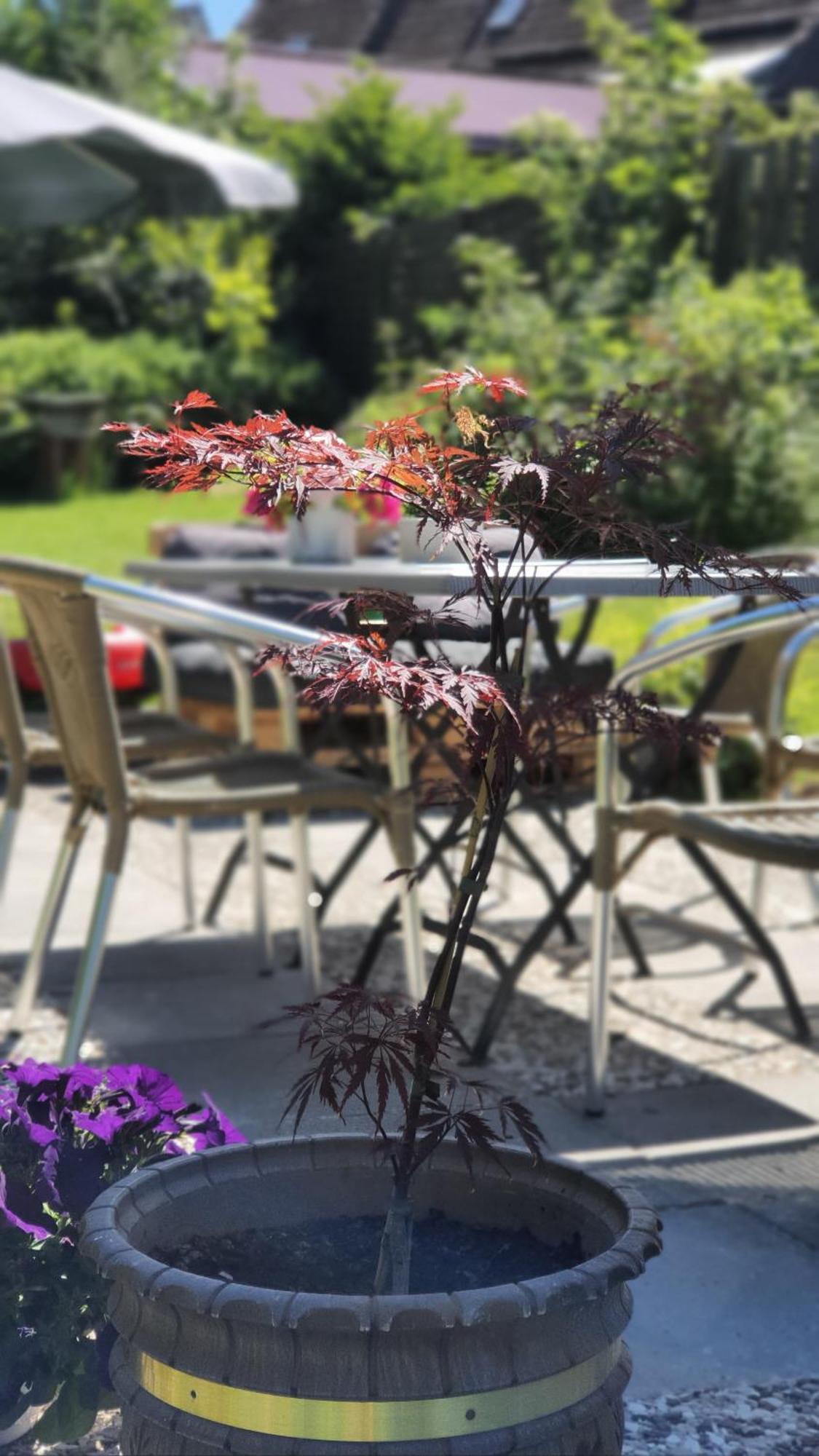 Hotel Schneiderhof Braunlage Bagian luar foto