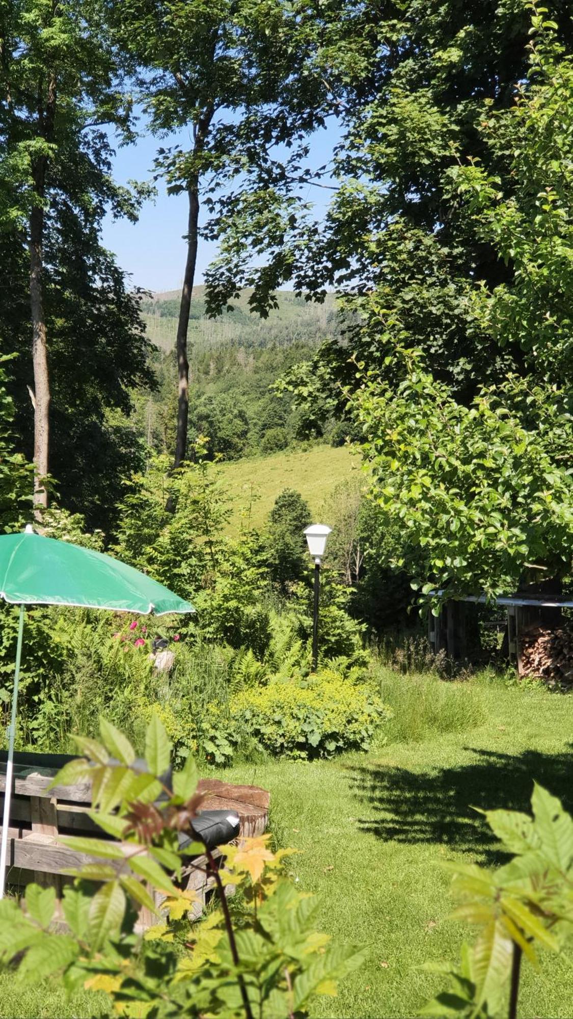 Hotel Schneiderhof Braunlage Bagian luar foto